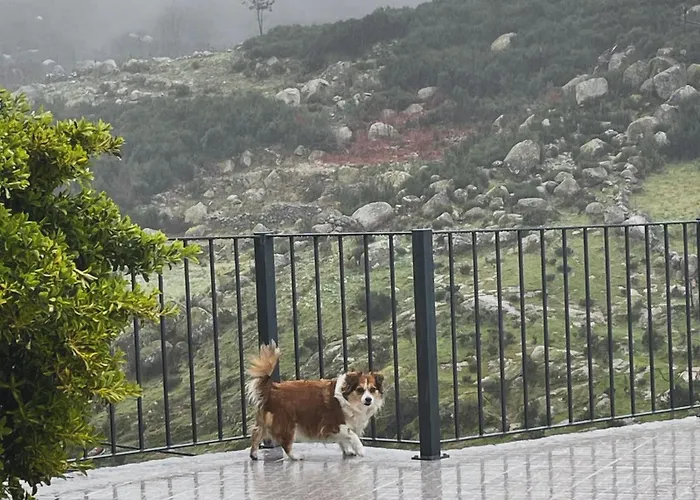 Casa Pinhão Casa de Férias Sabugueiro (Guarda)